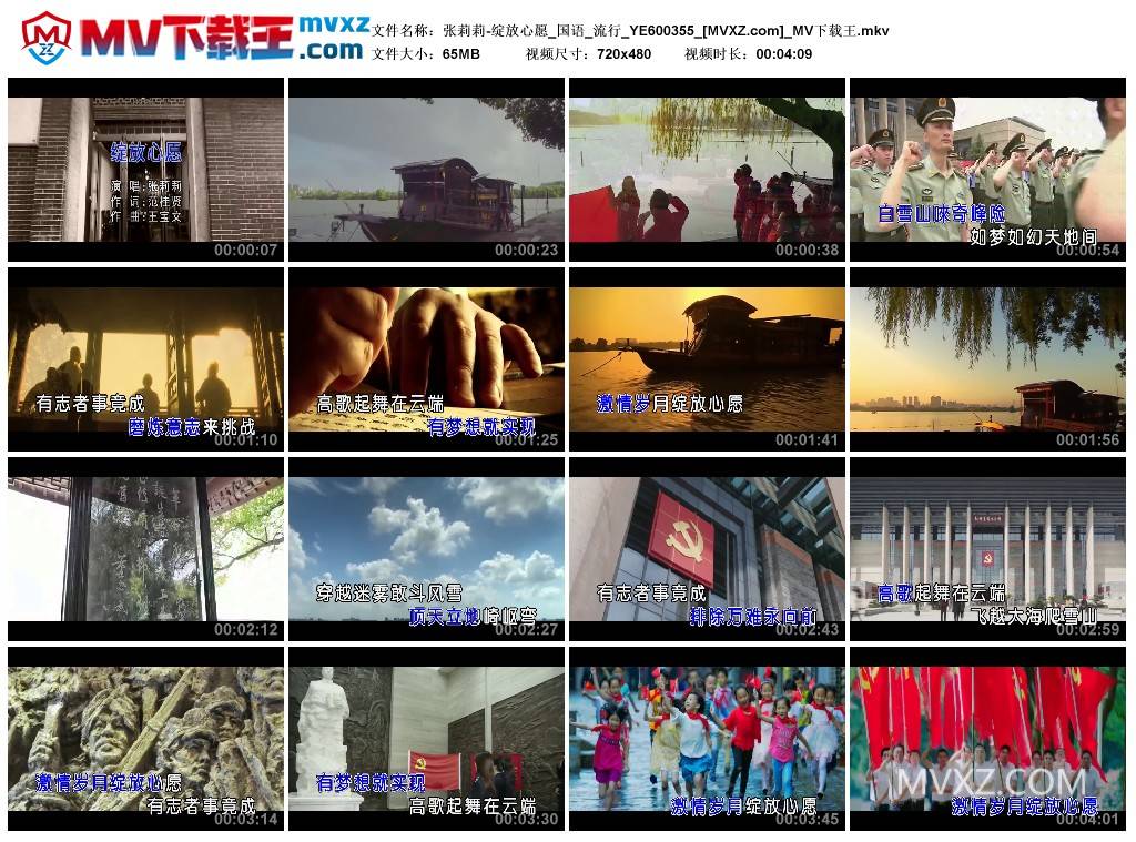 张莉莉-绽放心愿_国语_流行_YE600355